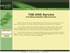 The Service Bureau, DNS Server